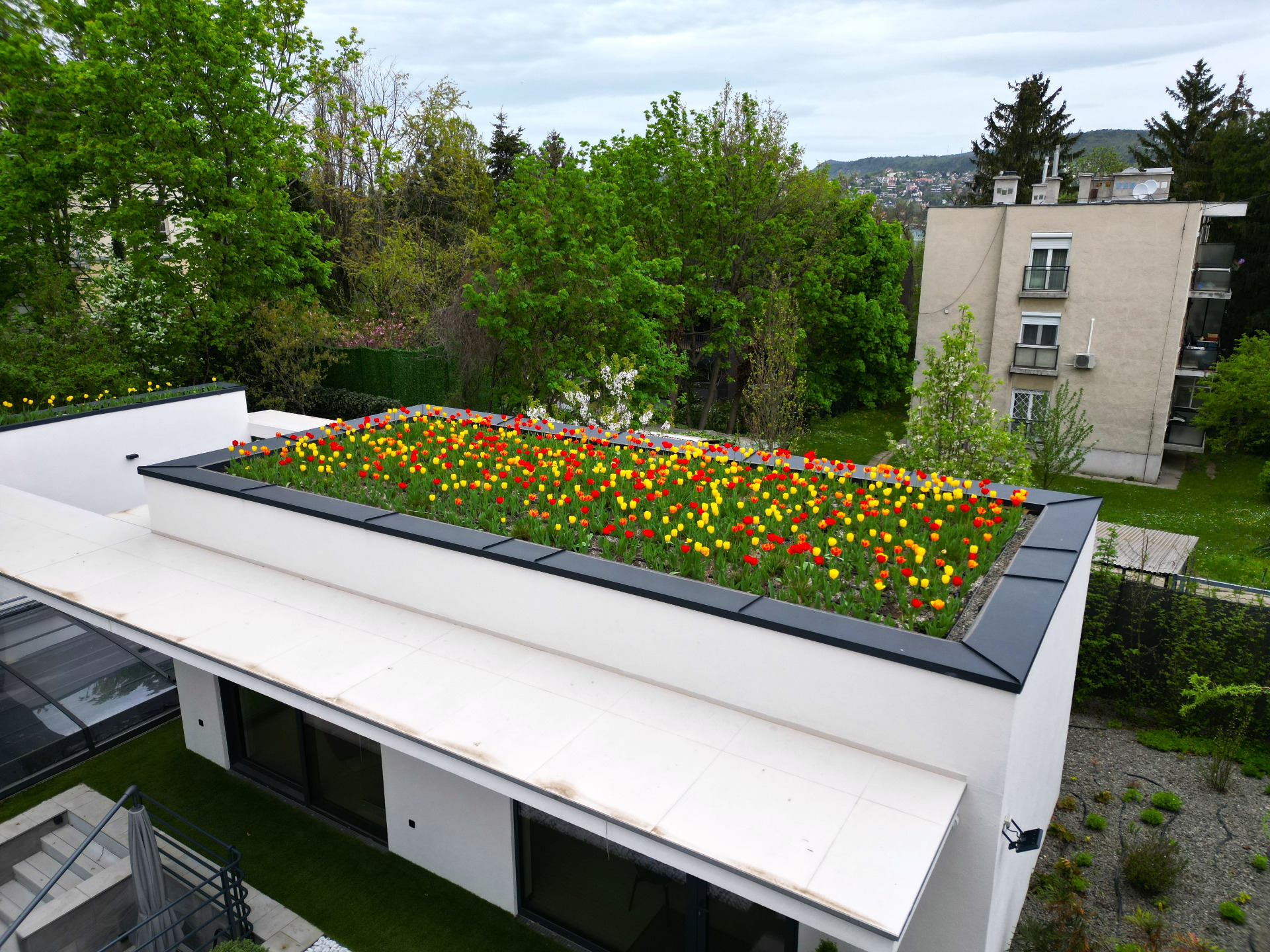 Különleges zöldtető budán